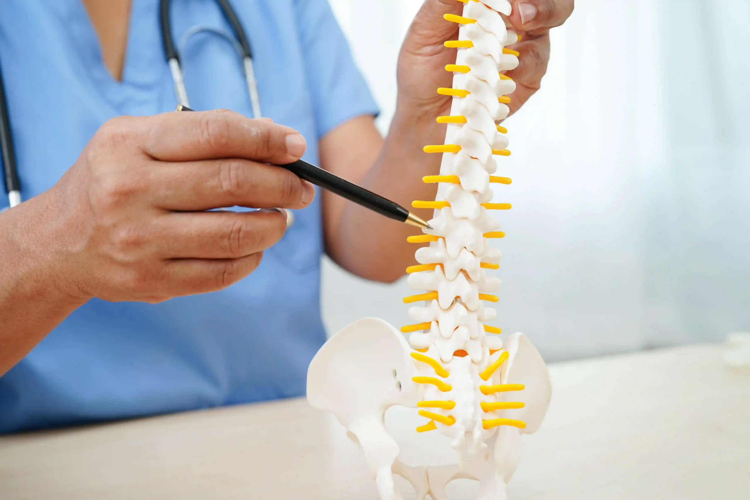 Medical professional pointing to the lower spine and nerves on an anatomical model.